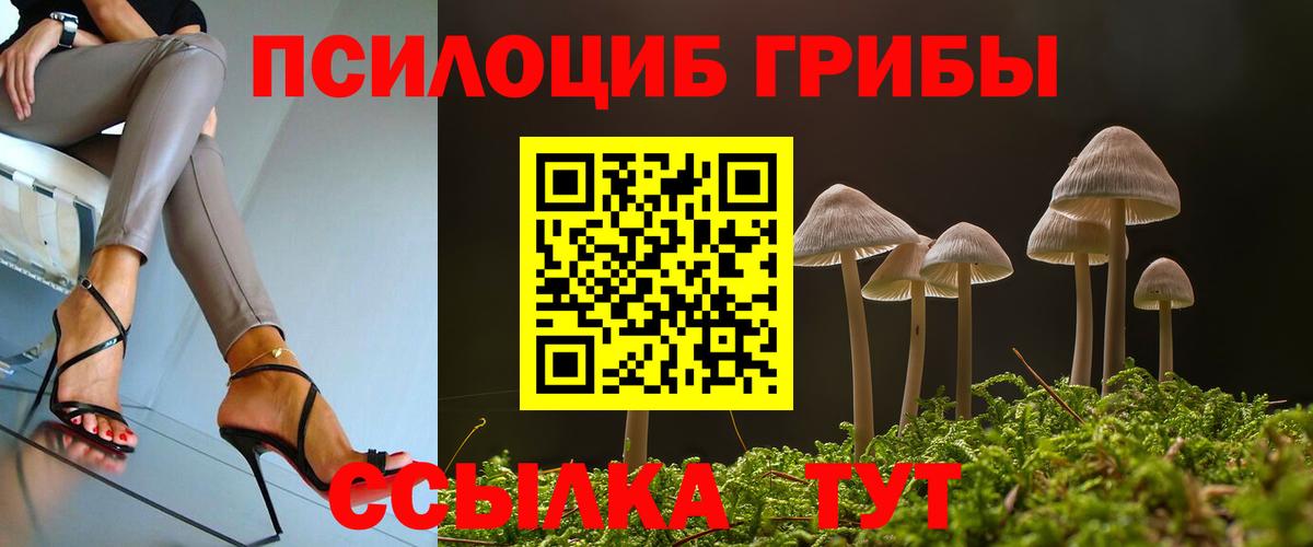 Галлюциногенные грибы Psilocybe Моздок